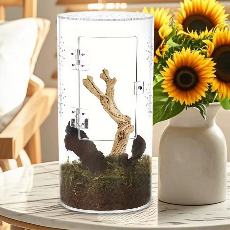 Jumping Spider Enclosure Arboreal Reptile Acrylic Tank Waterproof Reptile Enclos