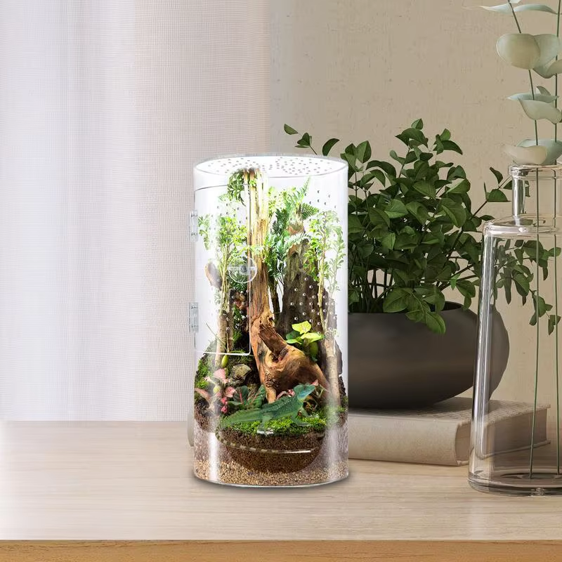 Jumping Spider Enclosure Arboreal Reptile Acrylic Tank Waterproof Reptile Enclos