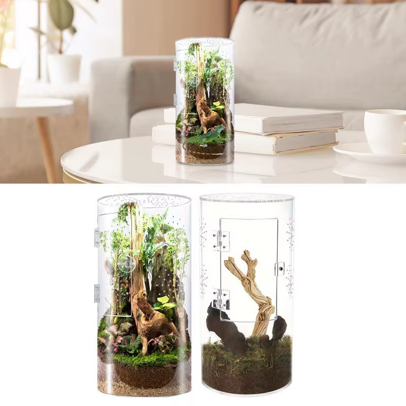 Jumping Spider Enclosure Arboreal Reptile Acrylic Tank Waterproof Reptile Enclos