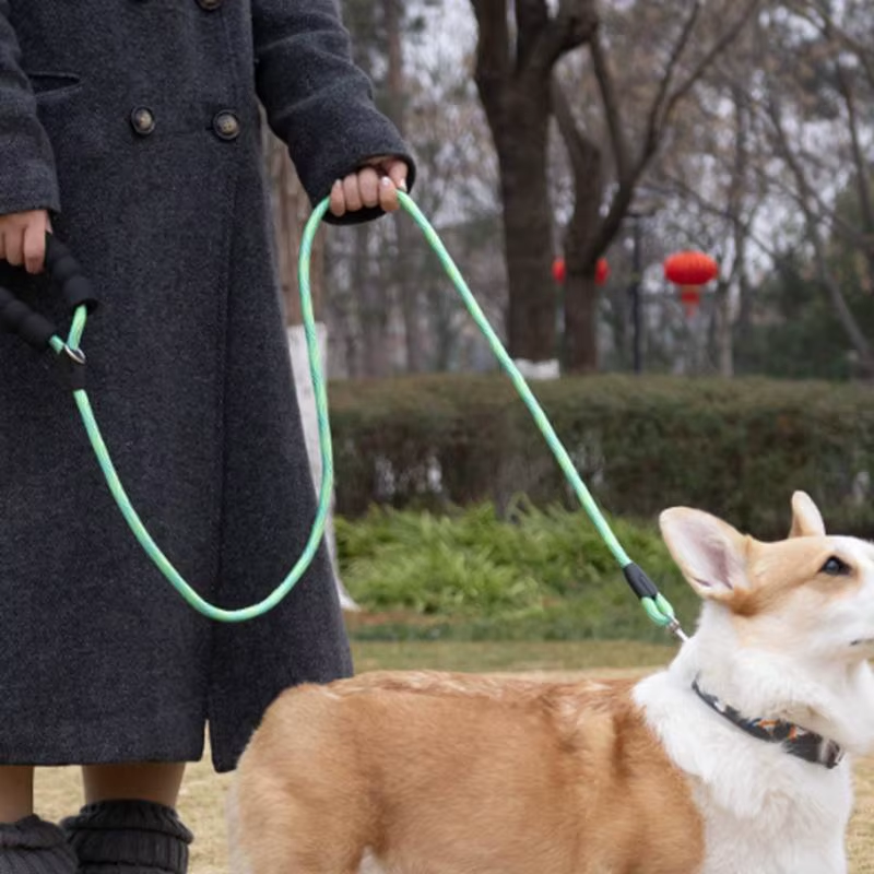 Portable Dog Lead Colorful Portable Pet Lead 2M Outdoor Dog Supplies Multipurpos