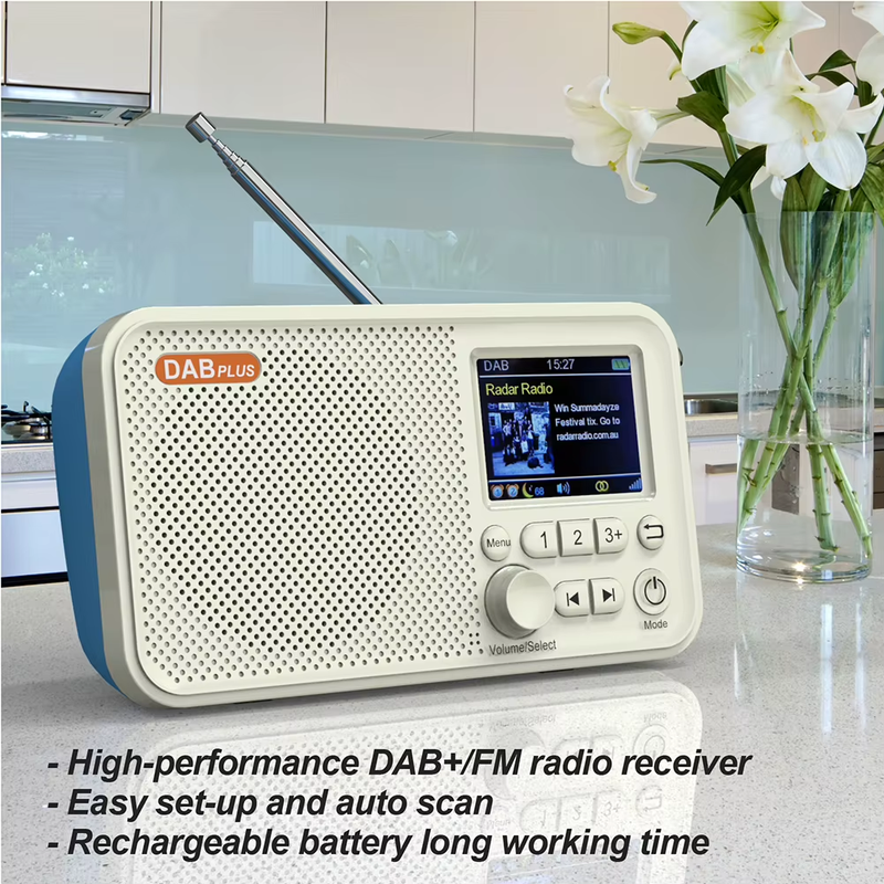 C10 Digital Desk Alarm Clock DAB DAB+ FM Bluetooth Broadcasting Radio 2.4Inch Co