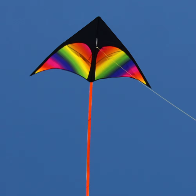 2X3M Tail Fly Wind Kite Easy to Fly Primary Stunt Kite with Wire Board Colorful
