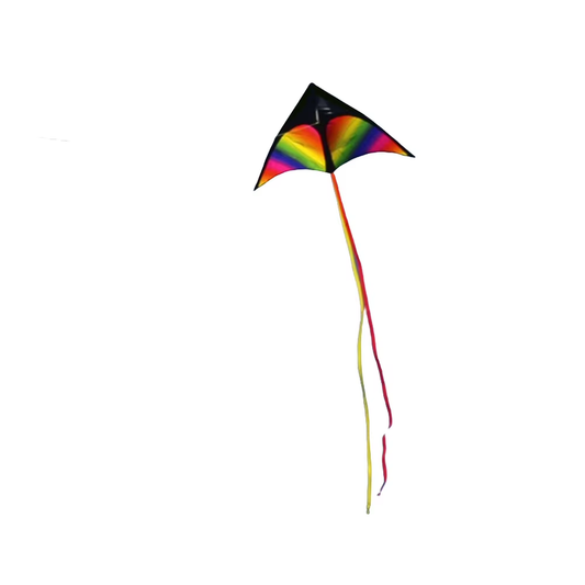 2X3M Tail Fly Wind Kite Easy to Fly Primary Stunt Kite with Wire Board Colorful