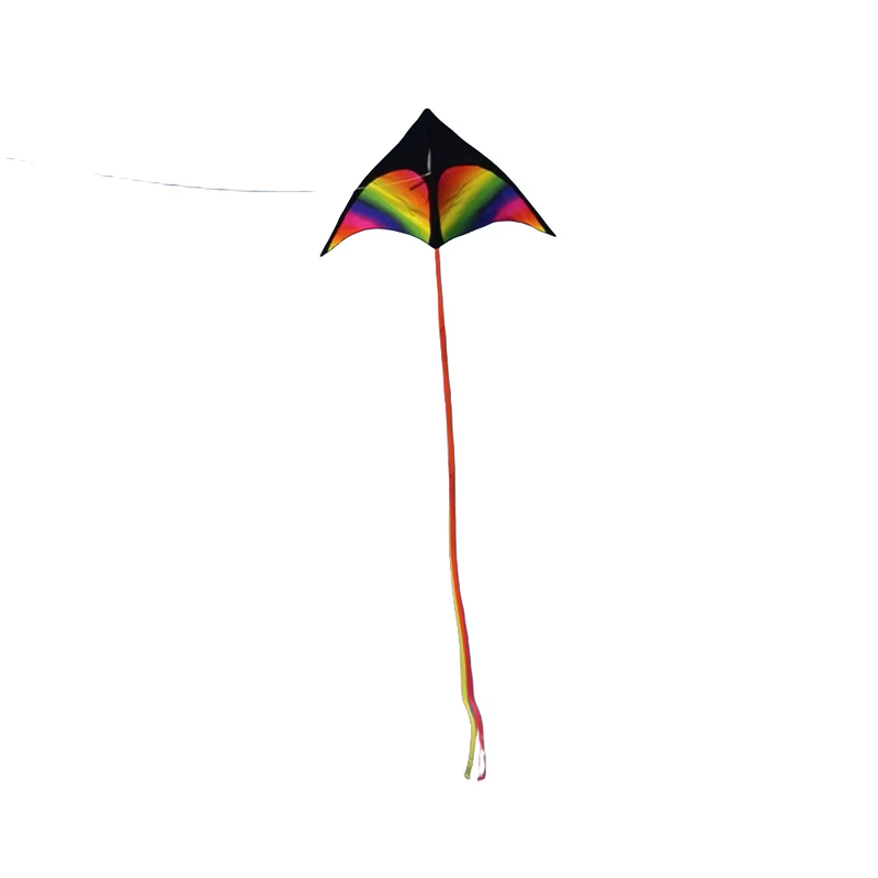 2X3M Tail Fly Wind Kite Easy to Fly Primary Stunt Kite with Wire Board Colorful