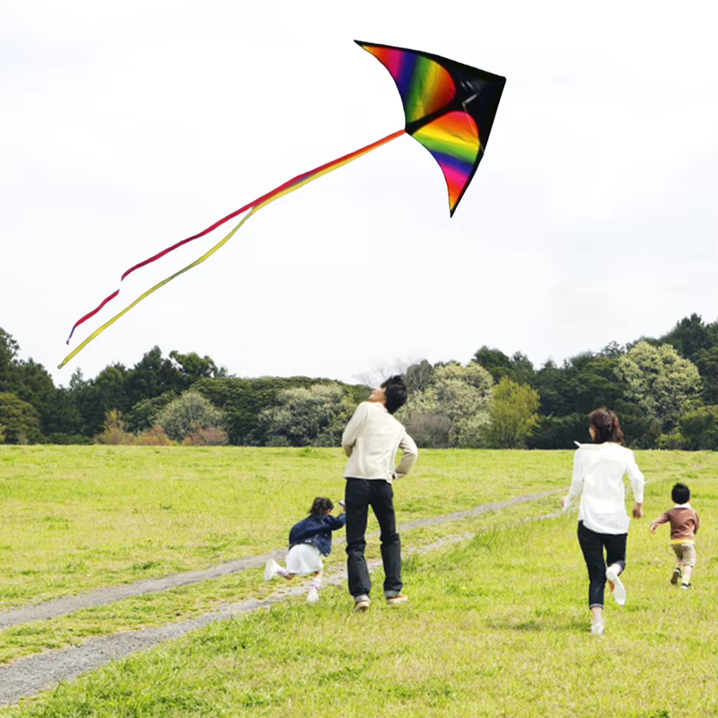 2X3M Tail Fly Wind Kite Easy to Fly Primary Stunt Kite with Wire Board Colorful