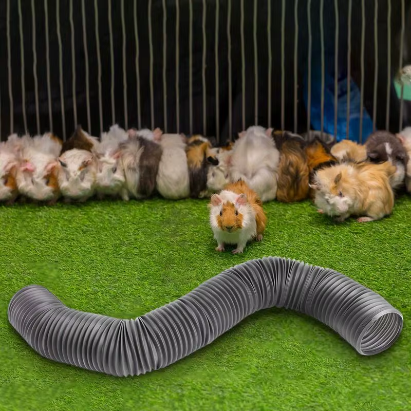 Hamster Tunnel Pet Mice Training Tunnel Lightweight Fun Accessories for Small An
