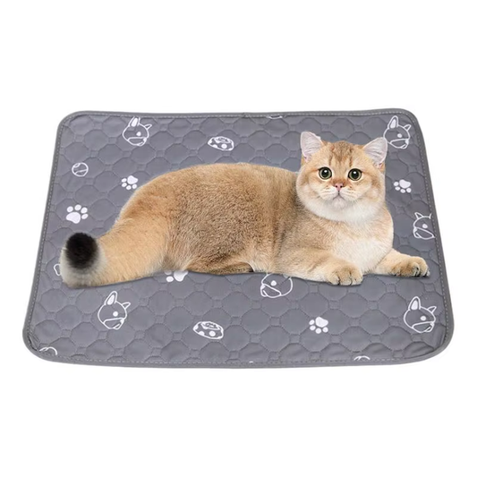 Bunny Mat Pet Pee Training Puppy Pads Non-Slip Washable Reusable Floor Protector