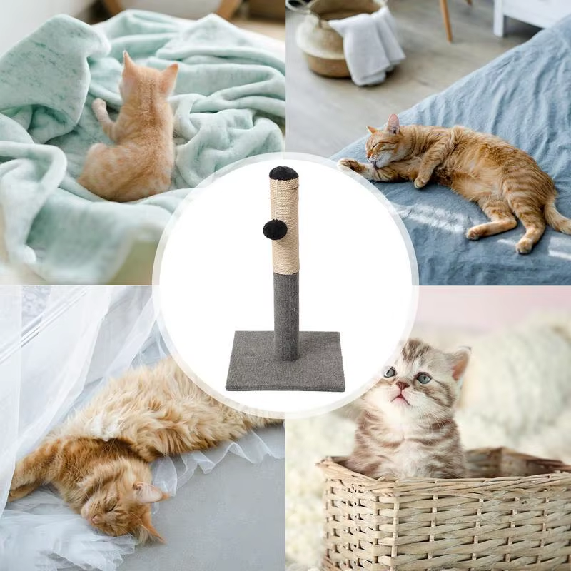 Cat Scratch Toy Detachable Interactive Post with Dangling Ball Sisal Rope Pet Su