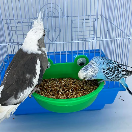 Bird Bowls for Cage Bird Food Container Splash-Proof Lovebird Bathing Dish for G