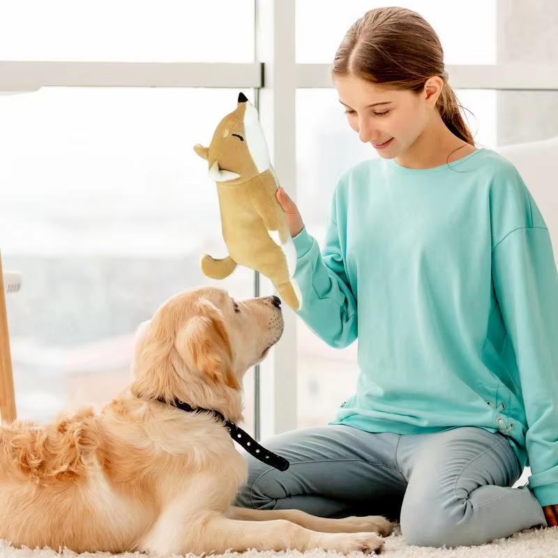 Plush Squeaky Dog Toys Plush Stuffed Pet Puppy Interactive Toy Small Medium Larg