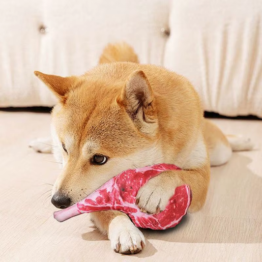 Dog Squeaky Toys Puppy Doll Squeaky with Steak Shape Interactive Pet Tooth Grind
