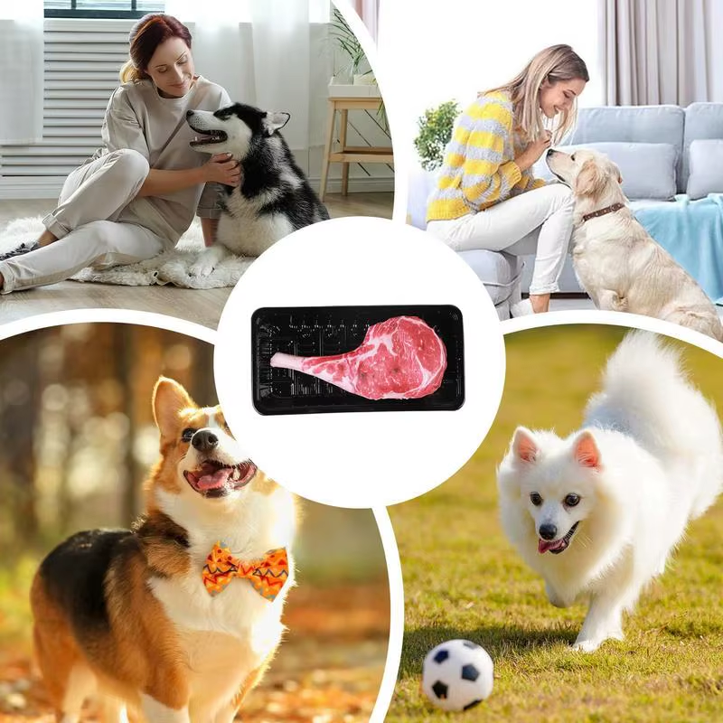 Dog Squeaky Toys Puppy Doll Squeaky with Steak Shape Interactive Pet Tooth Grind