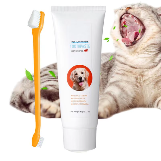 Dog Tooth Brushing Kit Dog Teeth Cleaner Beef Flavor Freshens Breath Tooth Paste